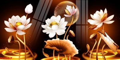 File tranh ảnh gốc Tranh hoa sen cá cửu ngư quần hội S4167 dùng cho in khổ lớn