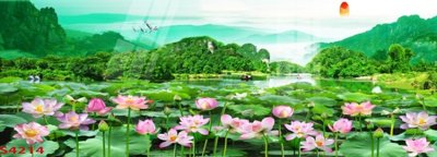 File PSD Tranh hoa sen cá cửu ngư quần hội S4214 (chất lượng in ấn)