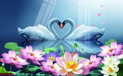 File tranh Tranh hoa sen cá cửu ngư quần hội S4263 (gốc) chủ đề trừu tượng