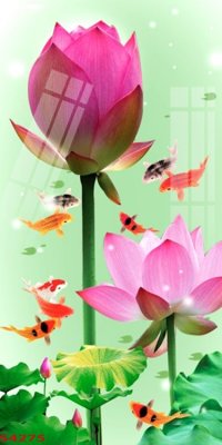 Tệp tin gốc Tranh hoa sen cá cửu ngư quần hội S4275 (dùng cho in ấn) chuyên nghiệp