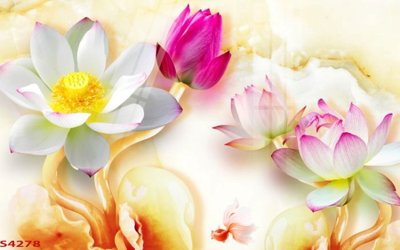 File gốc Tranh hoa sen cá cửu ngư quần hội S4278 (chuẩn CMYK) cho nhà in