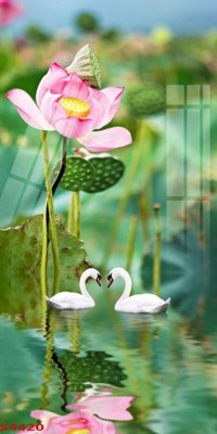 File ảnh Tranh hoa sen cá cửu ngư quần hội S4420 (gốc) in standee