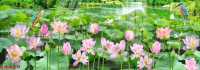 Download file Tranh hoa sen cá cửu ngư quần hội S4429 (gốc) in mica đèn LED