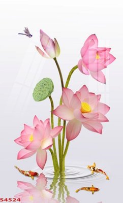 File gốc in tráng gương Tranh hoa sen cá cửu ngư quần hội S4524 chi tiết