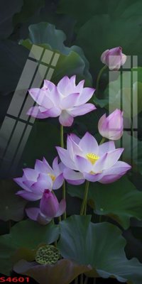 File gốc Tranh hoa sen cá cửu ngư quần hội S4601 cho in ấn và thiết kế