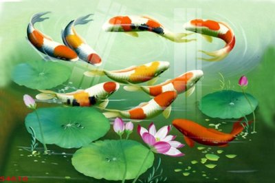 File gốc Tranh hoa sen cá cửu ngư quần hội S4616 (cho in UV) siêu nét