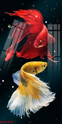 Tải file gốc Tranh hoa sen cá cửu ngư quần hội S4774 (để in lụa)