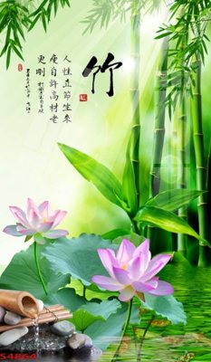 Cung cấp file tranh gốc Tranh hoa sen cá cửu ngư quần hội S4864 độc quyền