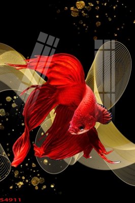 Tải file Tranh hoa sen cá cửu ngư quần hội S4911 (ảnh gốc) 300dpi Tranh hoa sen cá cửu ngư quần hội S4911