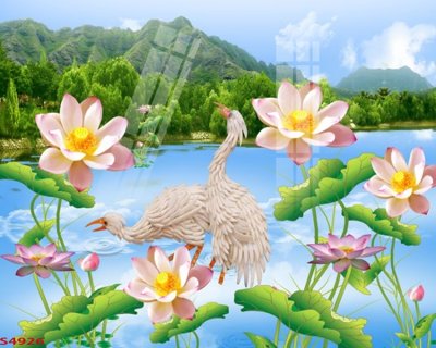 File gốc Tranh hoa sen cá cửu ngư quần hội S4926 (in tráng gương) ốp tường