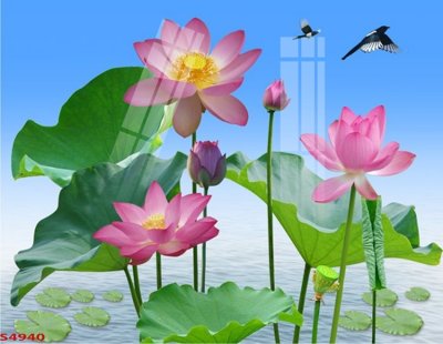 Mua file gốc Tranh hoa sen cá cửu ngư quần hội S4940 (PSD) tại Filetranh.com