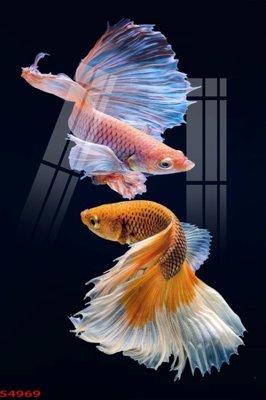 File PSD Tranh hoa sen cá cửu ngư quần hội S4969 (bản gốc) dễ dàng edit