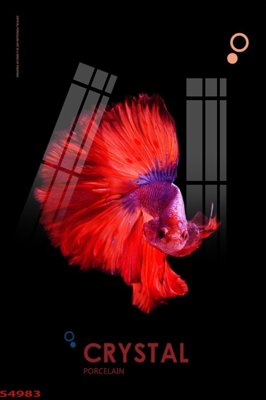 File tranh Tranh hoa sen cá cửu ngư quần hội S4983 (ảnh gốc) cho in ấn kỹ thuật số