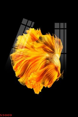 File in ấn chuyên nghiệp Tranh hoa sen cá cửu ngư quần hội S5009 (file gốc)