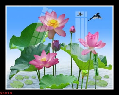 File gốc Tranh hoa sen cá cửu ngư quần hội S5010 (PSD/TIFF) độ phân giải cao