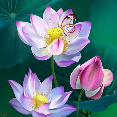 File in trần Tranh cửu ngư quần hội sen cá S543 (bản gốc) hoa văn