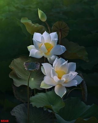 Hình ảnh file gốc Tranh cửu ngư quần hội sen cá S548 cho in UV