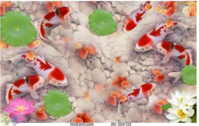 File tranh Tranh cửu ngư quần hội sen cá S58 (gốc) in film