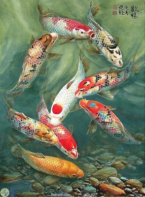 Tải file Tranh cửu ngư quần hội sen cá S7 (PSD) cho in tranh kính