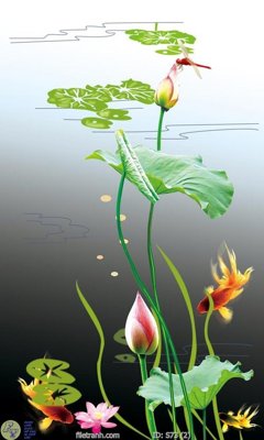 Tải file Tranh cửu ngư quần hội sen cá S73 (PSD) cho in ấn quảng cáo