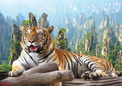 Tải file Tranh sơn thủy thác nước phong thủy ST3102 (gốc) chủ đề phong thủy