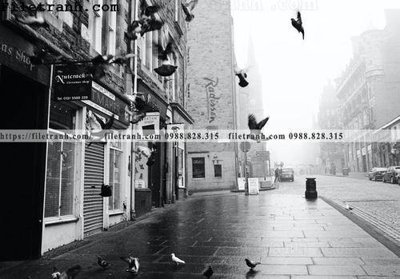 File gốc Street201 (thiết kế) độc quyền