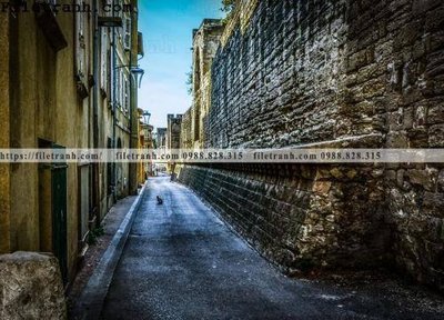 Tải file Street224 (gốc) làm file quảng cáo