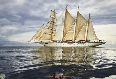 File gốc in ấn File thuận buồm xuôi gió TB110 độ phân giải cao