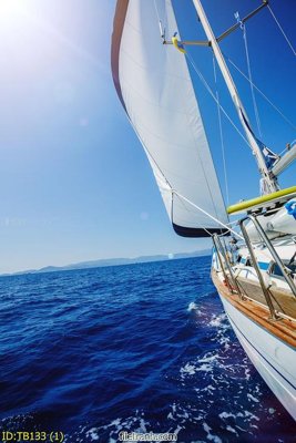 File gốc File thuận buồm xuôi gió TB133 (dành cho trang trí nội thất)