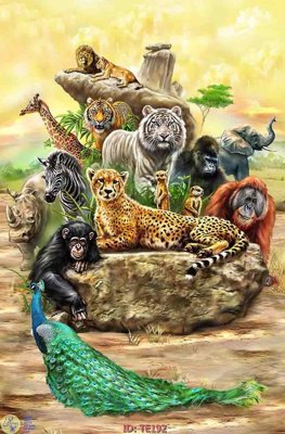 Tải file gốc File tranh trẻ em TE192 (in tráng gương) 5DFile gốc File tranh trẻ em TE192 (in ấn) phiên bản premium