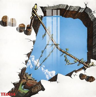 Ảnh gốc File tranh trẻ em 3d TE6214 (độ nét cao) in tráng gương