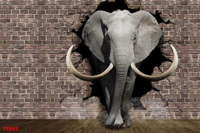 File in ấn File tranh trẻ em TE682 chuyên nghiệp