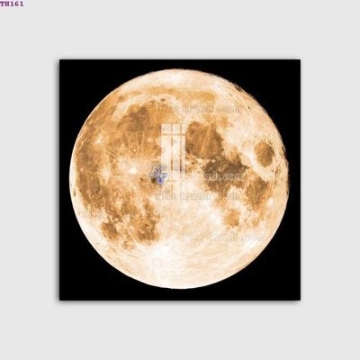 File tranh File gốc in tranh tổng hợp TH161 (ảnh gốc) in trần xuyên sáng