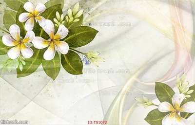 File in trần File hoa trang sức TS1072 (file gốc) xuyên sáng