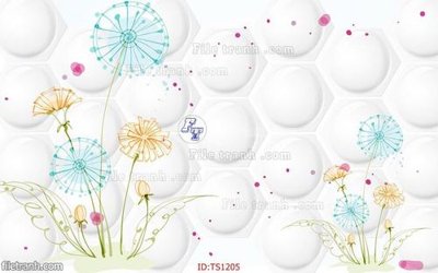 File gốc File hoa trang sức TS1205 (in tráng gương) ốp tường