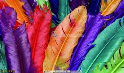 File ảnh File hoa trang sức TS1351 (gốc) in quảng cáo ngoài trời