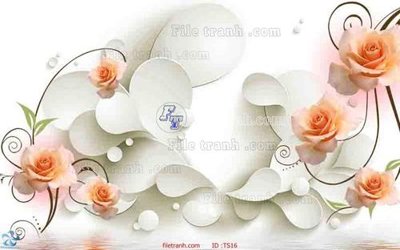 File in mica File hoa trang sức TS16 (bản gốc) làm vách ngăn