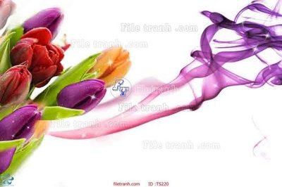 File gốc File hoa trang sức TS220 (in lụa) tranh phong thủy