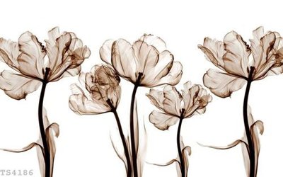 Tải file File hoa trang sức 3d TS4186 (ảnh gốc) file AI/EPS