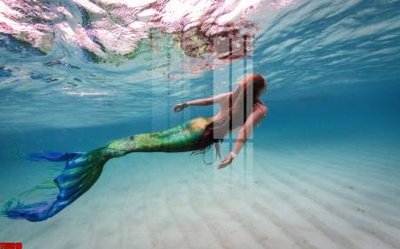 File gốc File tranh hoa trang sức in tường 3d TS5010 (phong cách) tối giản