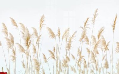 File gốc File tranh hoa trang sức in tường 3d TS5944 (dành cho trang trí nội thất)