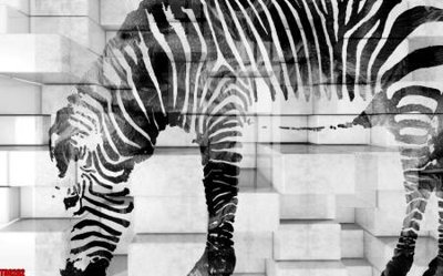 File tranh File tranh hoa trang sức in tường 3d TS6262 (bản gốc) in lụa 5D