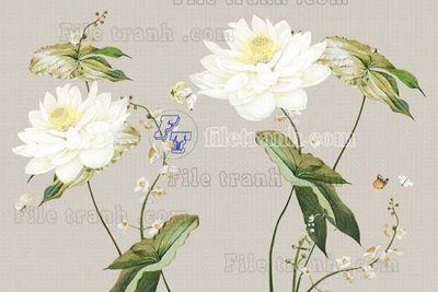 Tải file File tranh gốc tranh tường hoa thủy mặc trung quốc TTQ508 (ảnh gốc) 300dpi File tranh gốc tranh tường hoa thủy mặc trung quốc TTQ508