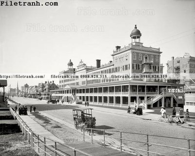 Tải file The Seaside_ 1905 (gốc) chủ đề hoa sen