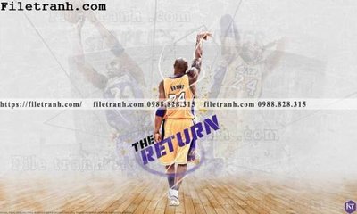 File gốc The thao bong ro 128 (in lụa) hoa văn cổ điển