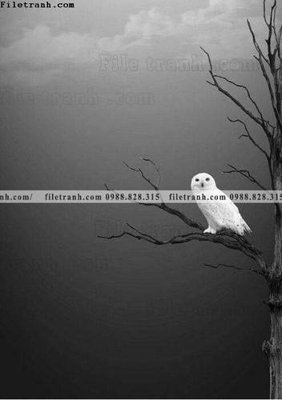 Tải file Toi gian den trang 117 (ảnh gốc) in tranh kính