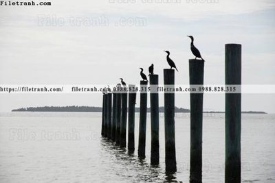 Tải file tranh gốc Toi gian den trang 160 chất lượng cao