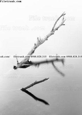 File gốc Toi gian den trang 169 (PNG) chất lượng cao