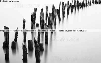 Tải file Toi gian den trang 170 (gốc) làm file tranh quảng cáo