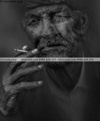 Tải file gốc Tranh chan dung chup anh nguoi 206 (in khổ lớn) không mờ